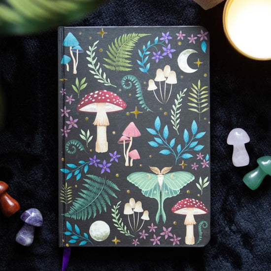 Dark Forest Collection