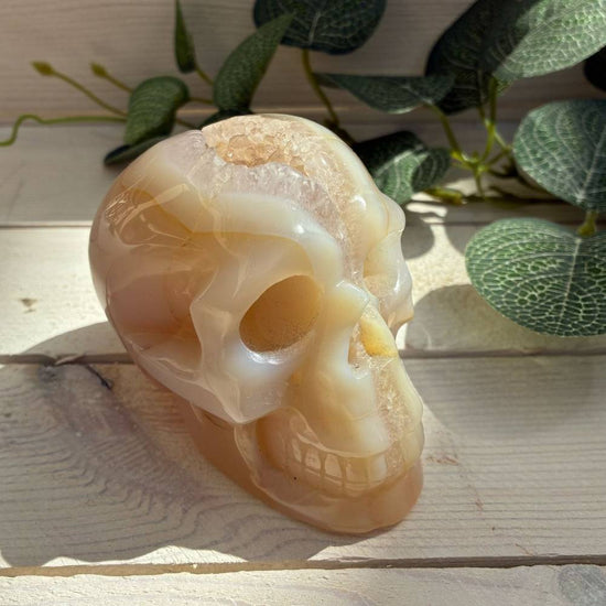 Crystal Skulls