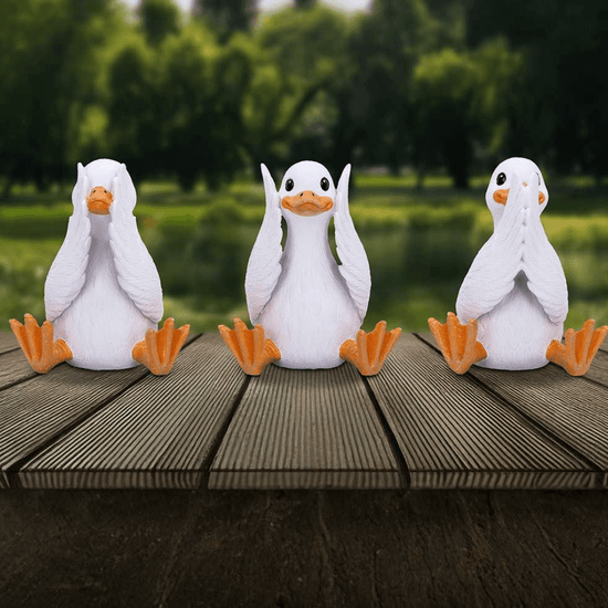 Three Wise Collection