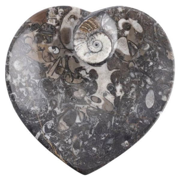 Fossil Heart Dish with Ammonite