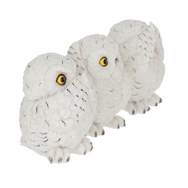 Three Wise Owls Set