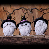 Three Wise Feathered Familiars Set