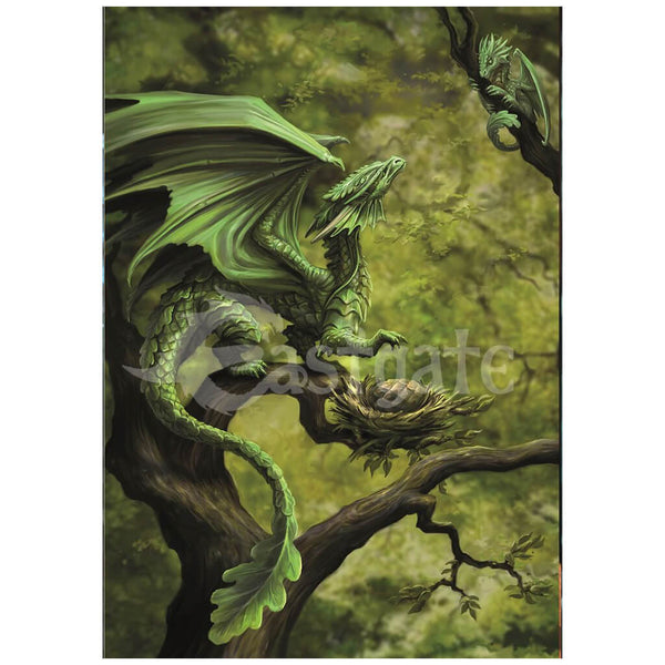 Forest Dragon Greetings Card by Anne Stokes