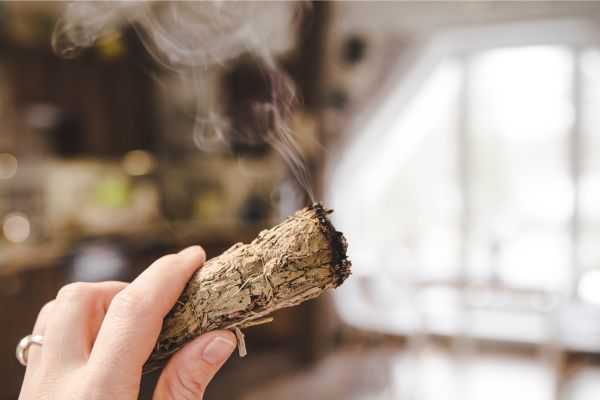 How To Cleanse Your House With White Sage