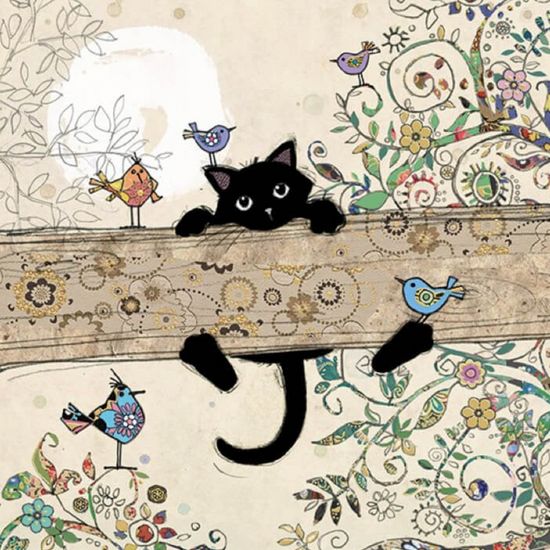Black Kitties Cards