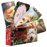 Animal Guide Mini Cards