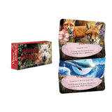Animal Guide Mini Cards