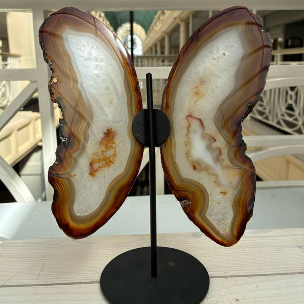 Agate Butterfly 22cm on Stand
