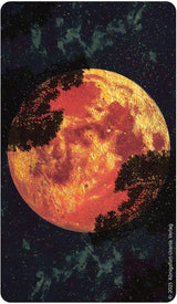 Amber Moon Tarot
