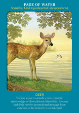 Animal Guides Tarot Cards