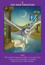 Animal Guides Tarot Cards