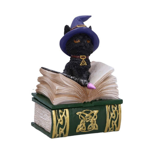 Black Cat and Spellbook Figure - Binx