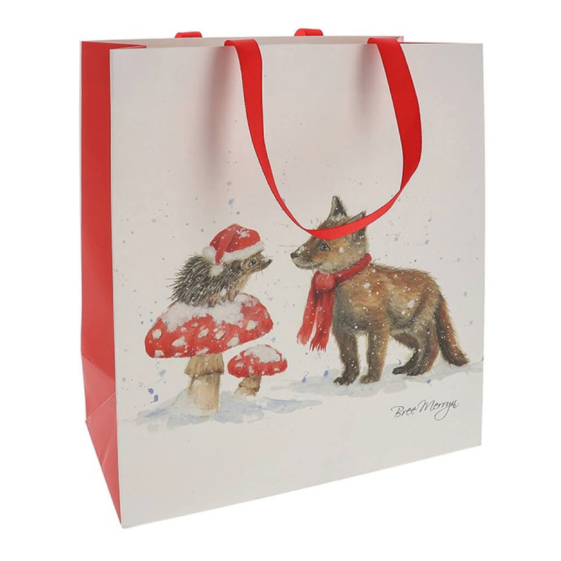 Bristle & Brush Christmas Gift Bag