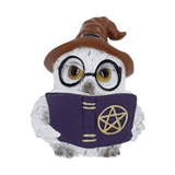 Cornelius 8.6cm Owl Figurine