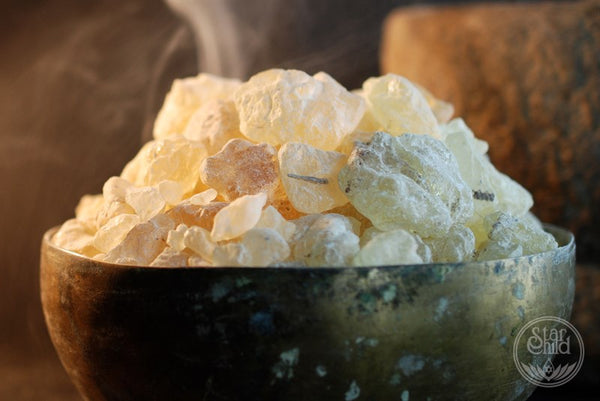 Dammar Gum Sacred Herb