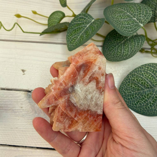 Dog Tooth Calcite Point Small - 7.8cm