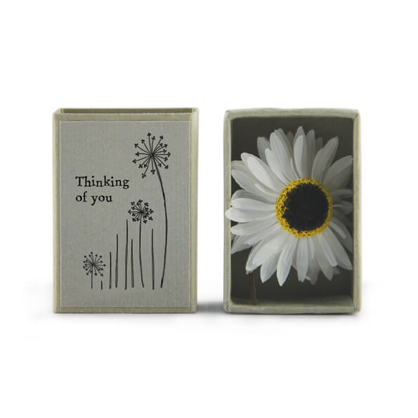 East of India Dried Flower Matchbox - Thinking of You