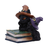 Duo Divination Cat Ornament