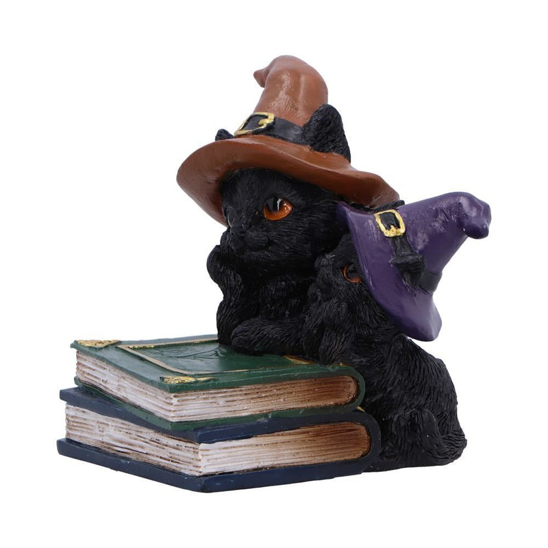 Duo Divination Cat Ornament