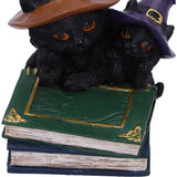 Duo Divination Cat Ornament
