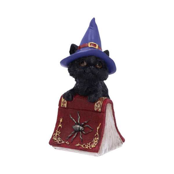 Black Cat and Spellbook Figure - Hocus