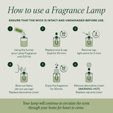 Amber & Orange Blossom Fragrance Lamp Oil
