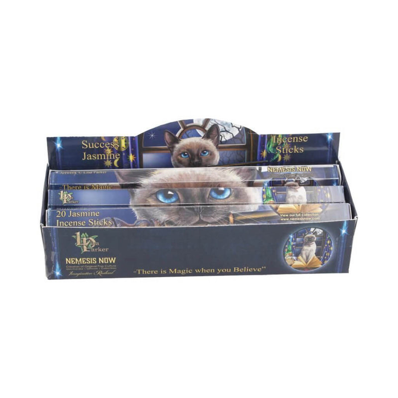 Lisa Parker Jasmine Scented Success Incense Sticks