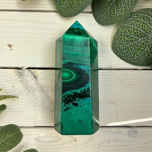 Malacholla Polished Point with Cut Base 100mm