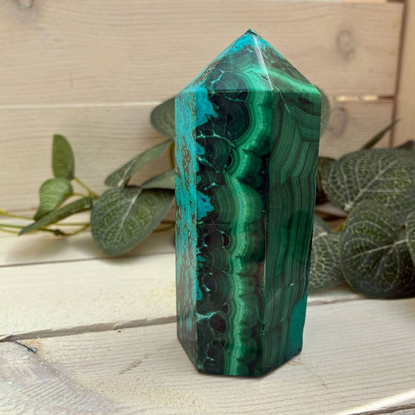 Malacholla Polished Point with Cut Base 100mm