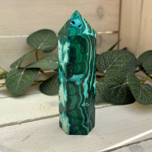 Malacholla Polished Standing Point 95mm