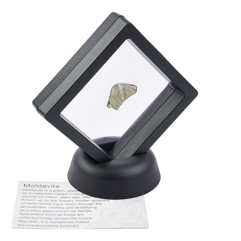 Moldavite Rough Crystal 0.4-0.99 grams with Display Stand (Black)
