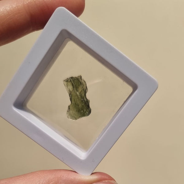 Moldavite Rough Crystal 0.4-0.99 grams with Display Stand