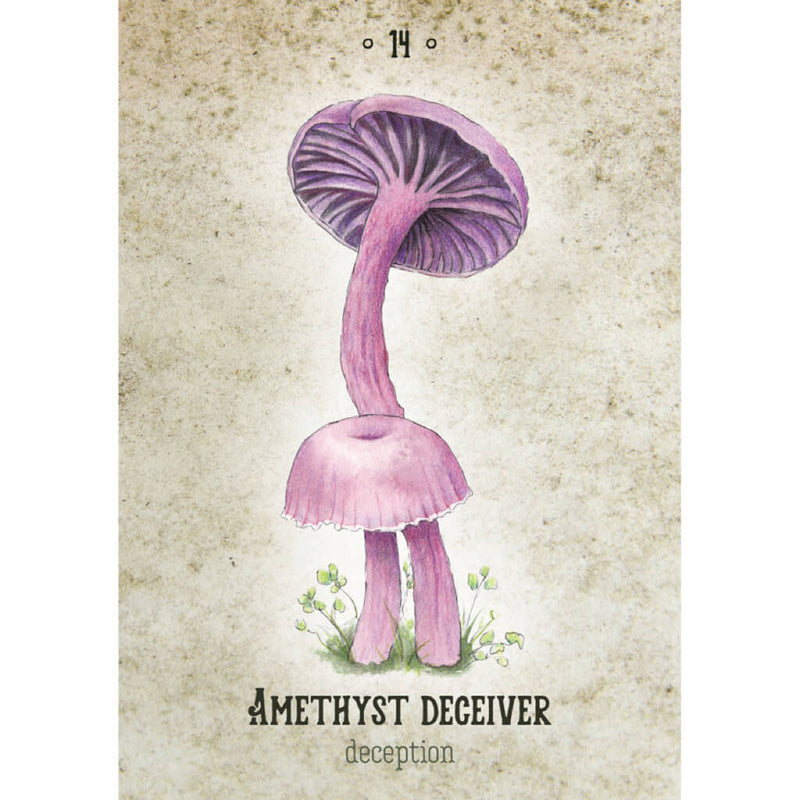 Mushroom Spirit Oracle Cards