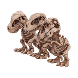 Nemesis Now Three Wise Tyrannosaurus Rex Skeletons Set