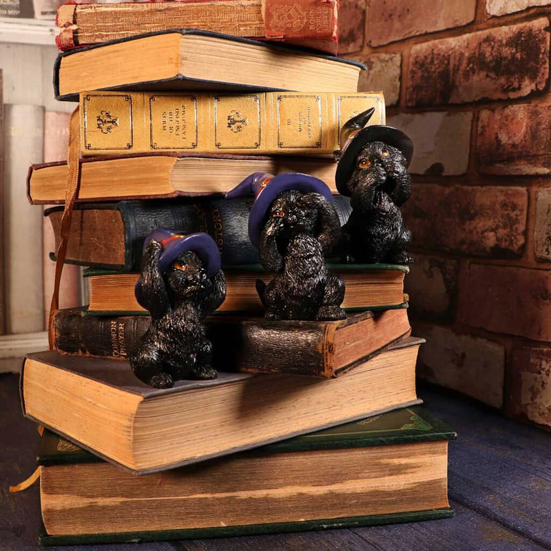 Three Wise Familiars Set