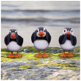 Three Wise Puffins Set