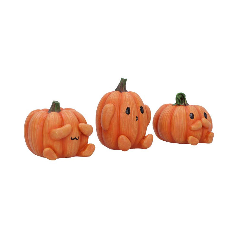 Three Wise Pumpkins Set