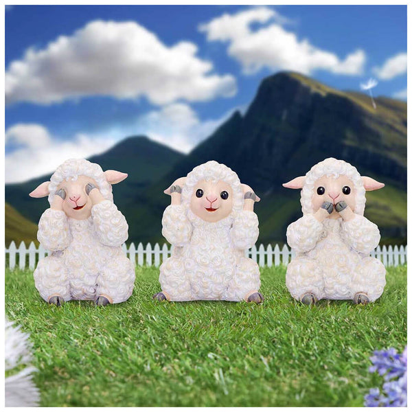 Three Wise Sheep Set