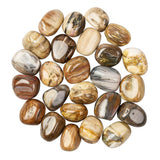 Petrified Wood Tumblestone