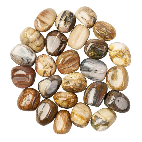 Petrified Wood Tumblestone
