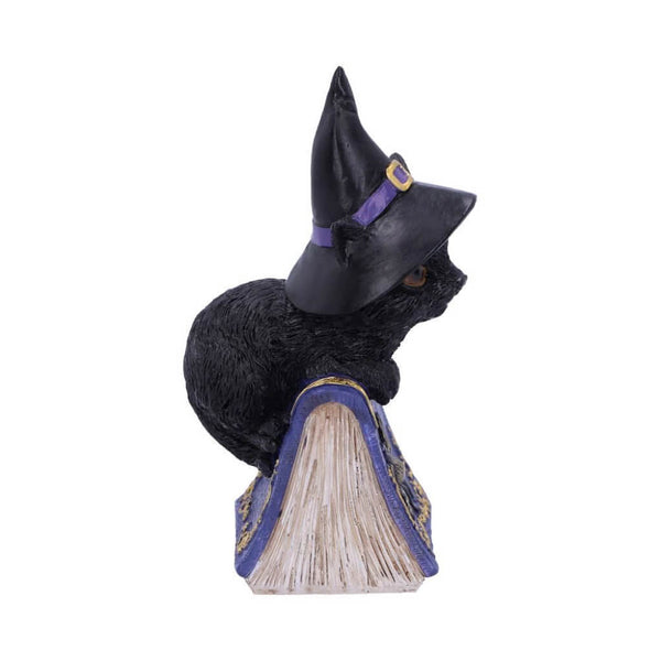 Black Cat and Spellbook Figure - Pocus