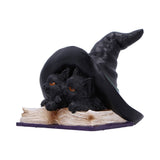 Potion Pair Cat Ornament