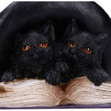 Potion Pair Cat Ornament