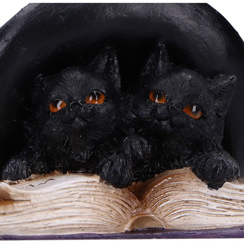 Potion Pair Cat Ornament