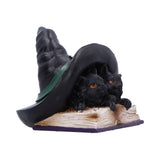 Potion Pair Cat Ornament
