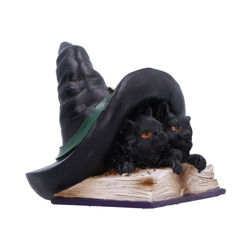 Potion Pair Cat Ornament