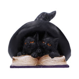 Potion Pair Cat Ornament