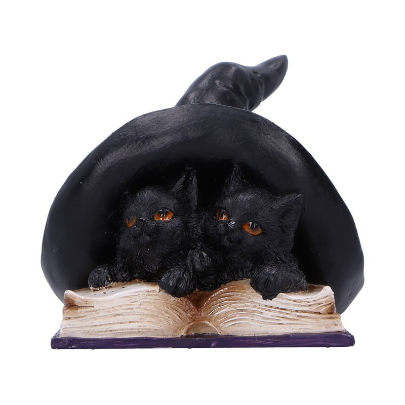 Potion Pair Cat Ornament