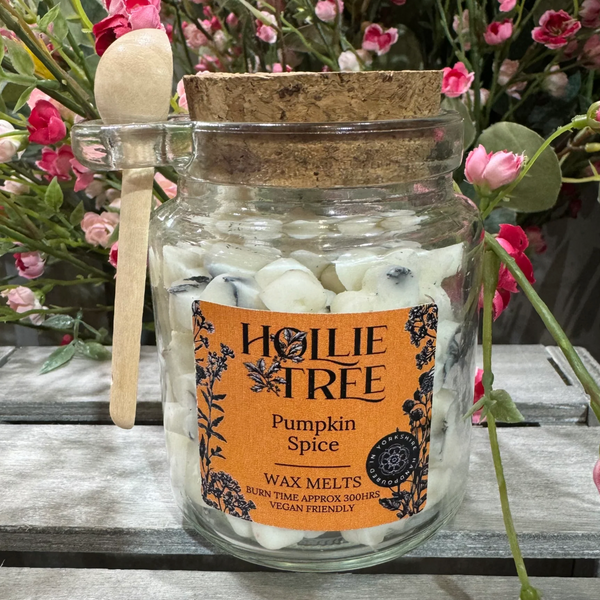 Pumpkin Spice Melting Pot Wax Melts by Hollie Tree