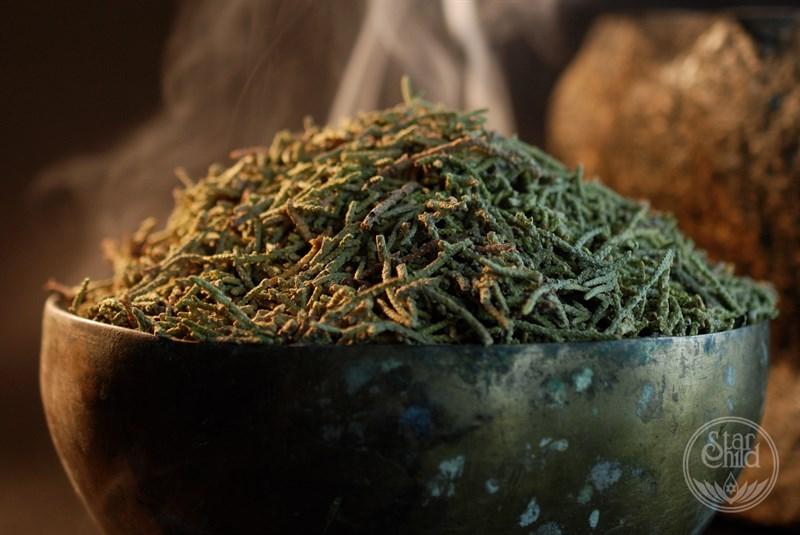 Sacred Herbs & Resins - Juniper